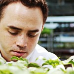 culinary-associates-staff-inspecting-fresh-greens